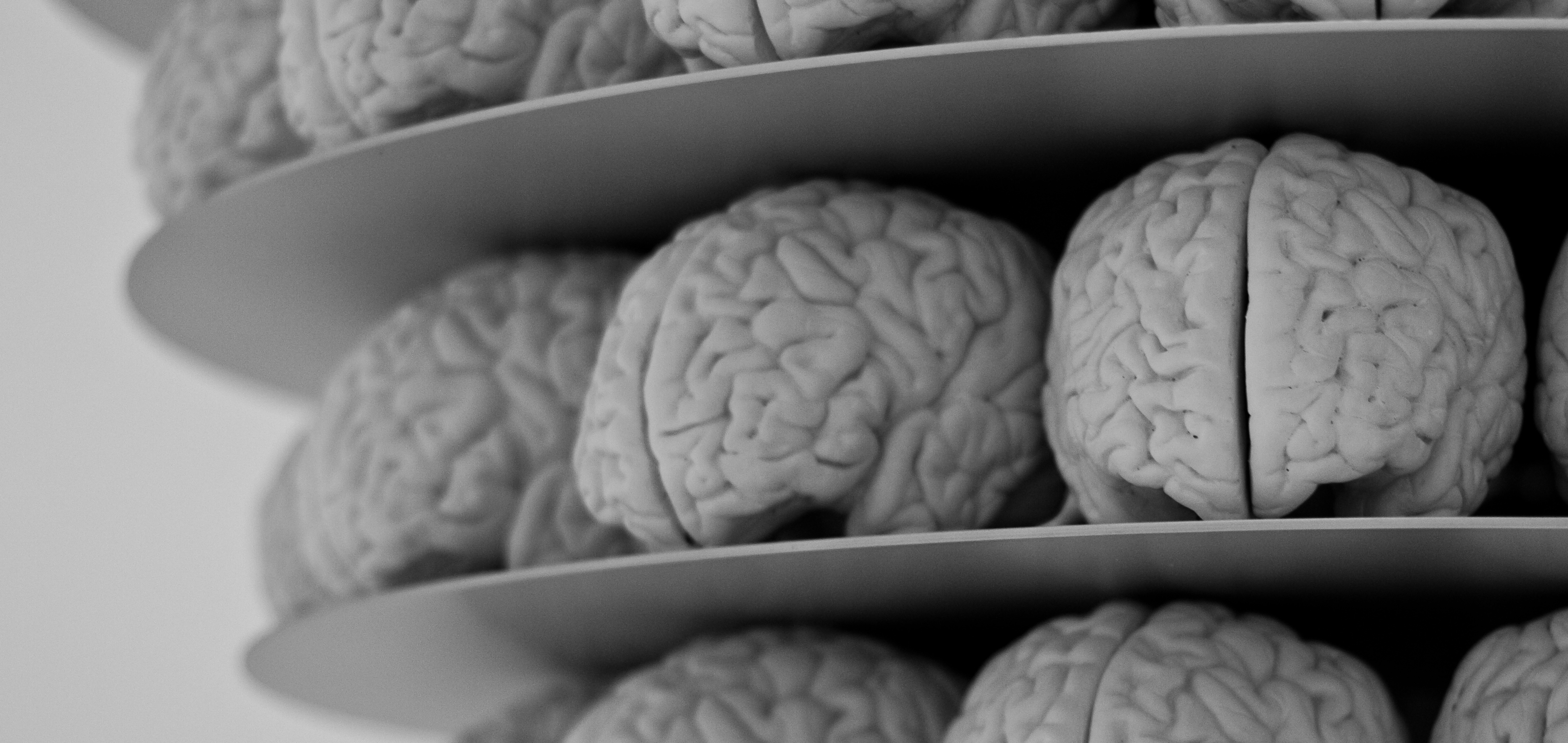 Australian Neurolaw Database